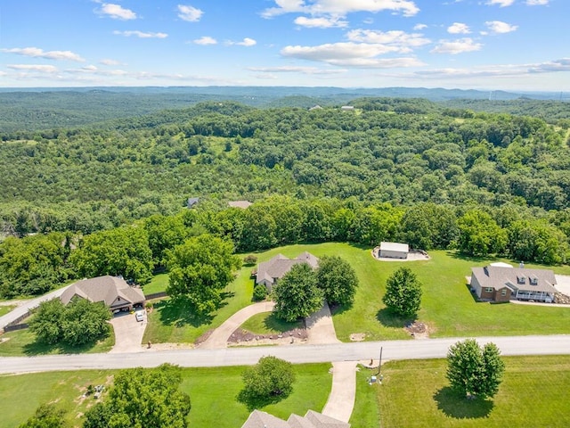 200 Whitetail Dr, Walnut Shade, MO 65771 - photo 61