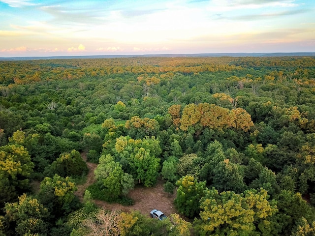 11215 S 2425th Rd, Dunnegan, MO 65640 - photo 1