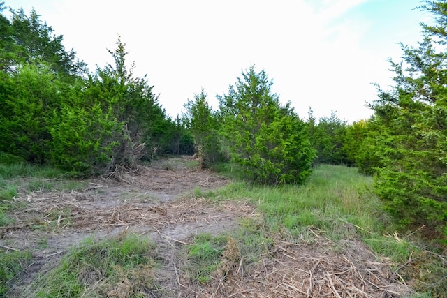11215 S 2425th Rd, Dunnegan, MO 65640 - photo 19