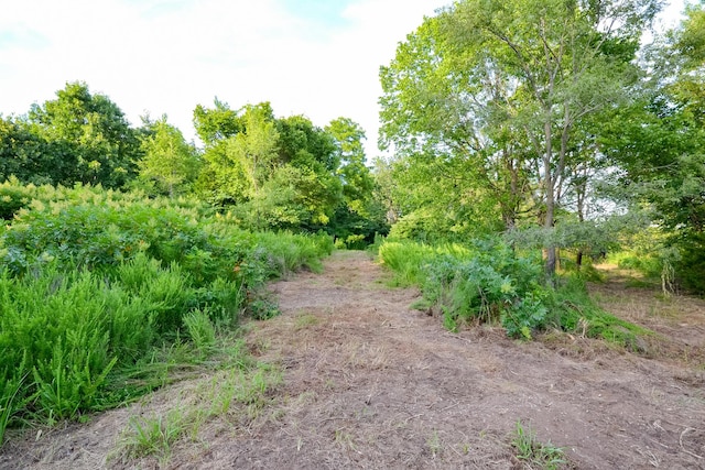 11215 S 2425th Rd, Dunnegan, MO 65640 - photo 18
