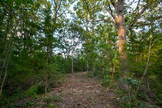 11215 S 2425th Rd, Dunnegan, MO 65640 - photo 24