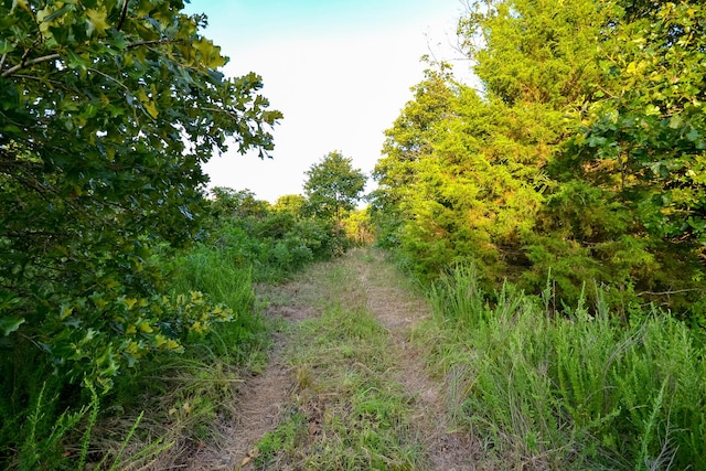 11215 S 2425th Rd, Dunnegan, MO 65640 - photo 22