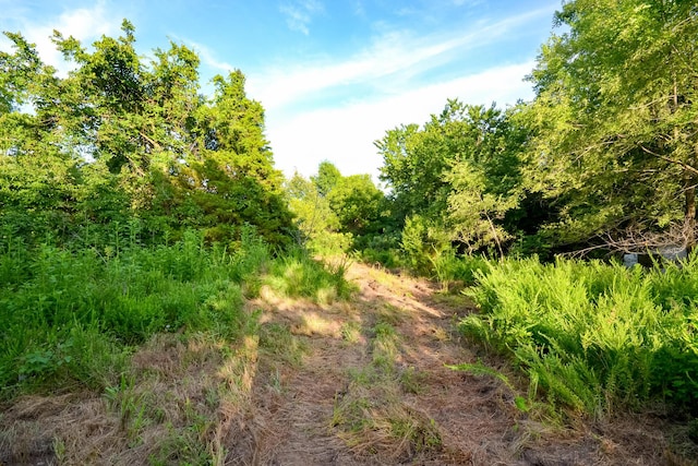11215 S 2425th Rd, Dunnegan, MO 65640 - photo 8