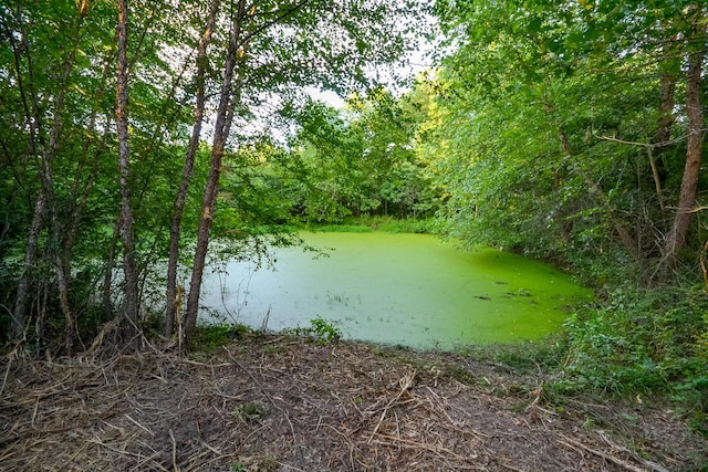 11215 S 2425th Rd, Dunnegan, MO 65640 - photo 20