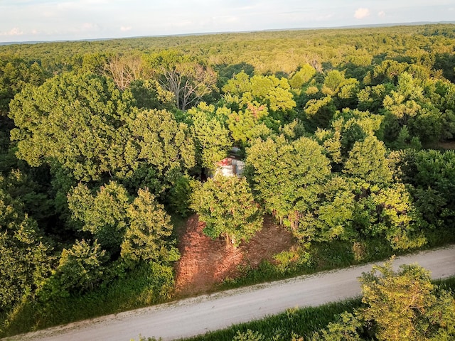 11215 S 2425th Rd, Dunnegan, MO 65640 - photo 9