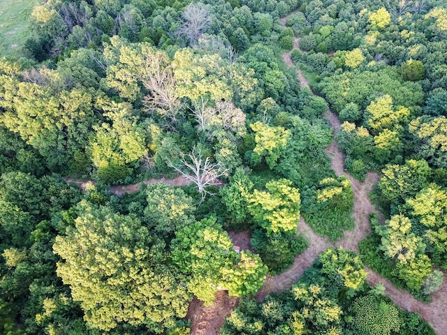 11215 S 2425th Rd, Dunnegan, MO 65640 - photo 10