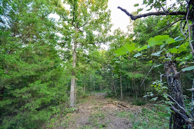 11215 S 2425th Rd, Dunnegan, MO 65640 - photo 23