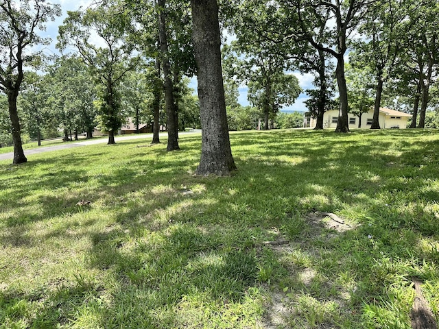 24804 Camelot Dr, Hermitage, MO 65668 - photo 47