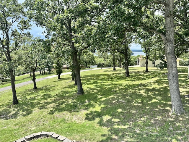24804 Camelot Dr, Hermitage, MO 65668 - photo 56