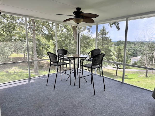 24804 Camelot Dr, Hermitage, MO 65668 - photo 38