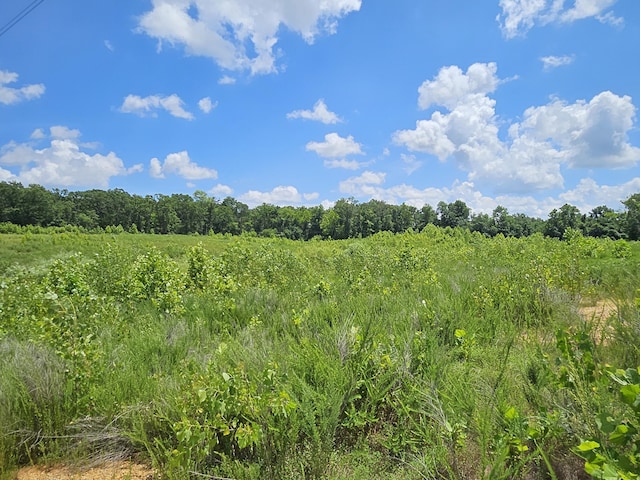 000 Dogwood Ln, Joplin, MO 64801 - photo 12