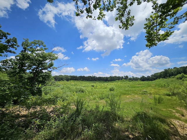 000 Dogwood Ln, Joplin, MO 64801 - photo 6