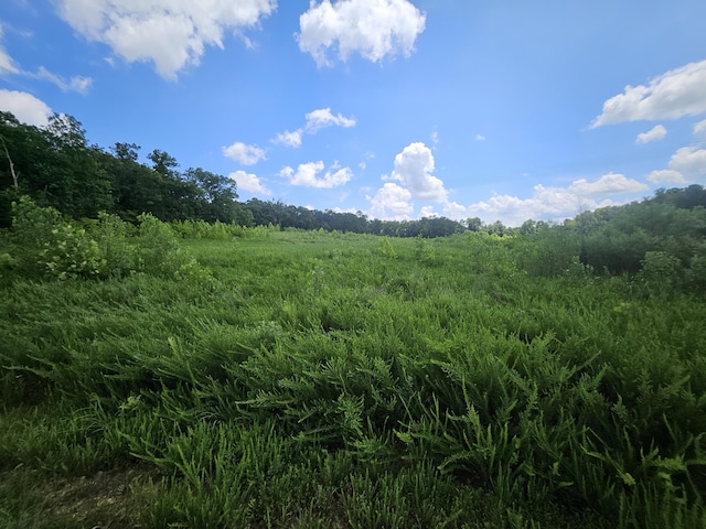000 Dogwood Ln, Joplin, MO 64801 - photo 16