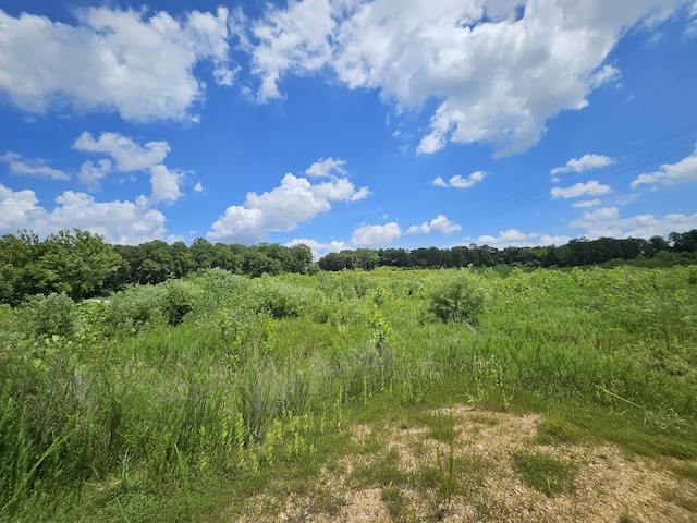 000 Dogwood Ln, Joplin, MO 64801 - photo 8