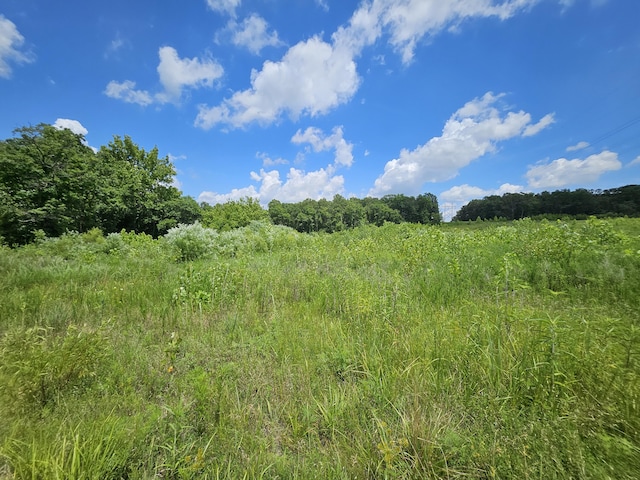 000 Dogwood Ln, Joplin, MO 64801 - photo 9