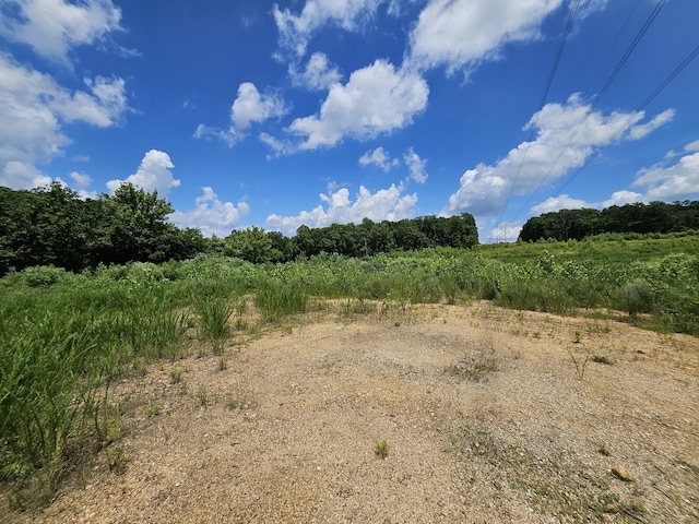 000 Dogwood Ln, Joplin, MO 64801 - photo 11