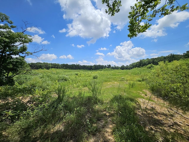 000 Dogwood Ln, Joplin, MO 64801 - photo 5