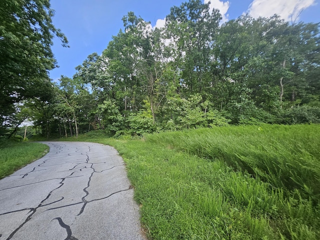 000 Dogwood Ln, Joplin, MO 64801 - photo 17