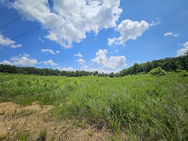 000 Dogwood Ln, Joplin, MO 64801 - photo 10
