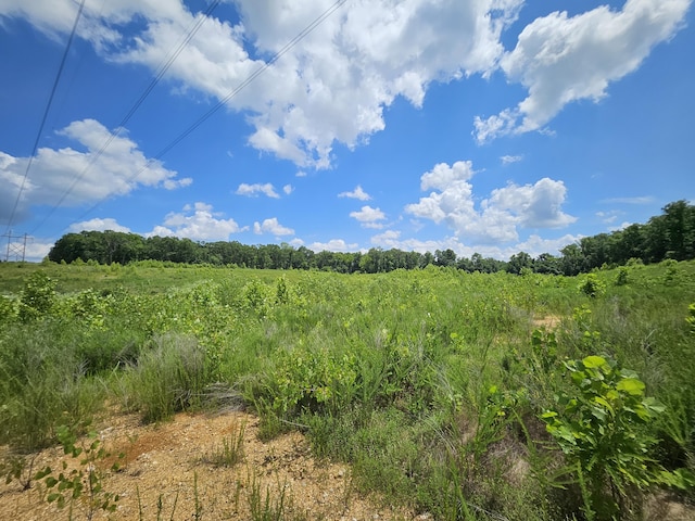 000 Dogwood Ln, Joplin, MO 64801 - photo 13