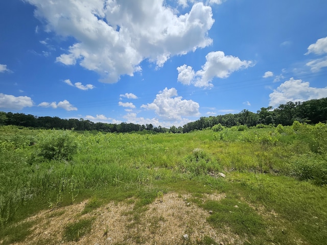 000 Dogwood Ln, Joplin, MO 64801 - photo 7