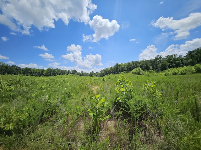 000 Dogwood Ln, Joplin, MO 64801 - photo 14