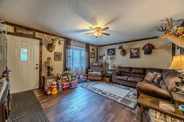 824 S Vine St, Marshfield, MO 65706 - photo 5
