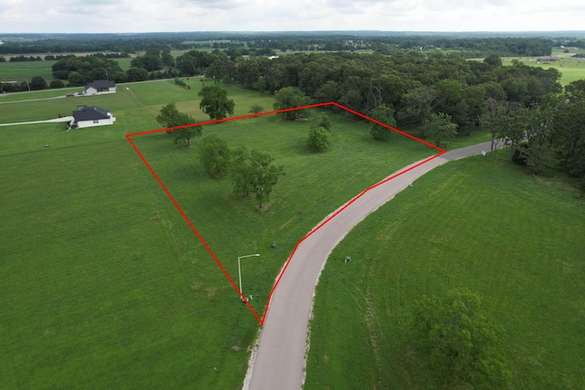 2543 E Theran Ave, Springfield, MO 65803 - photo 26
