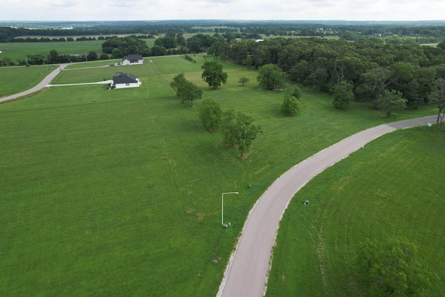 2543 E Theran Ave, Springfield, MO 65803 - photo 24