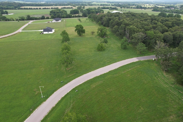 2543 E Theran Ave, Springfield, MO 65803 - photo 22