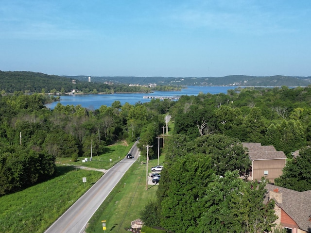 225 Foggy Bay Ln, Hollister, MO 65672 - photo 31