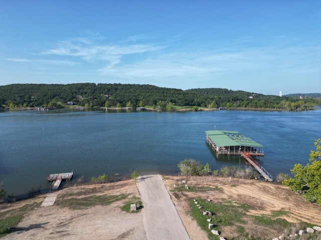 225 Foggy Bay Ln, Hollister, MO 65672 - photo 32