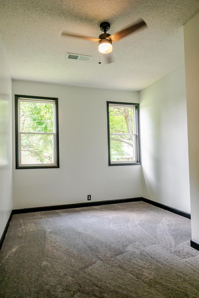 207 N Gibbs Ave, Pierce City, MO 65723 - photo 12