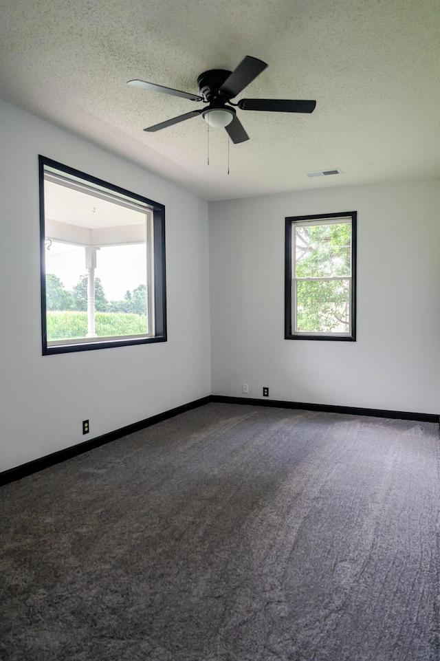 207 N Gibbs Ave, Pierce City, MO 65723 - photo 9