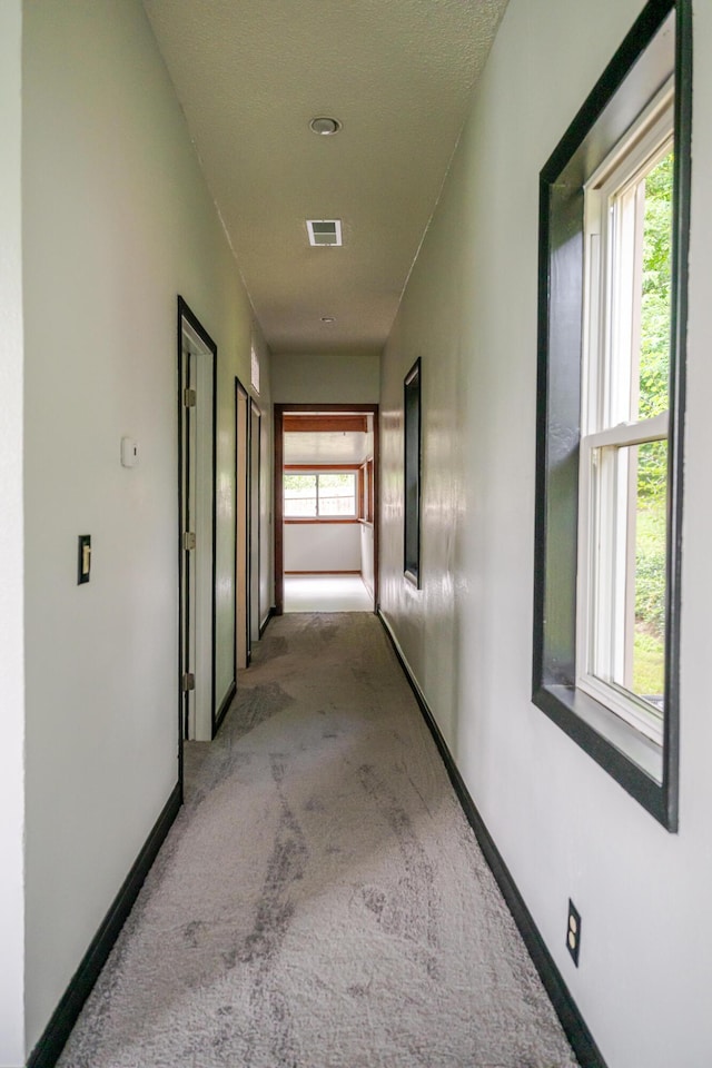 207 N Gibbs Ave, Pierce City, MO 65723 - photo 10