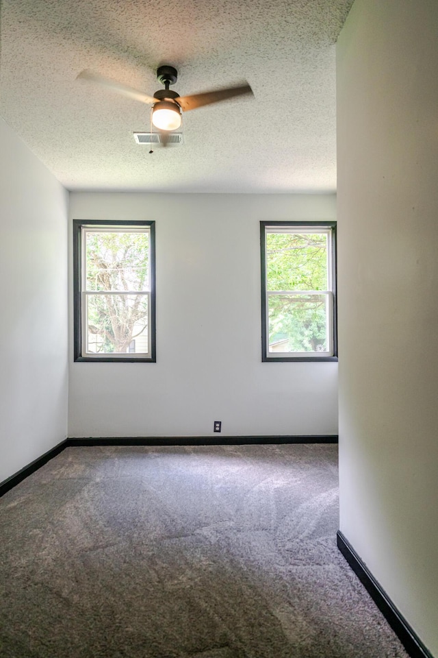 207 N Gibbs Ave, Pierce City, MO 65723 - photo 11