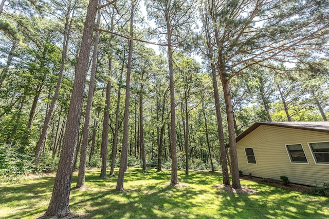 11545 Slaughter Rd, Licking, MO 65542 - photo 4