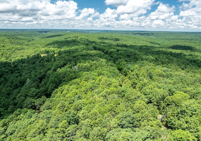 11545 Slaughter Rd, Licking, MO 65542 - photo 48