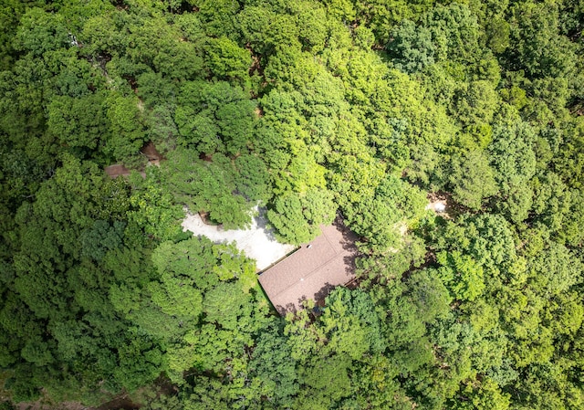 11545 Slaughter Rd, Licking, MO 65542 - photo 45