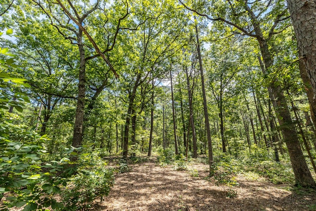 11545 Slaughter Rd, Licking, MO 65542 - photo 51