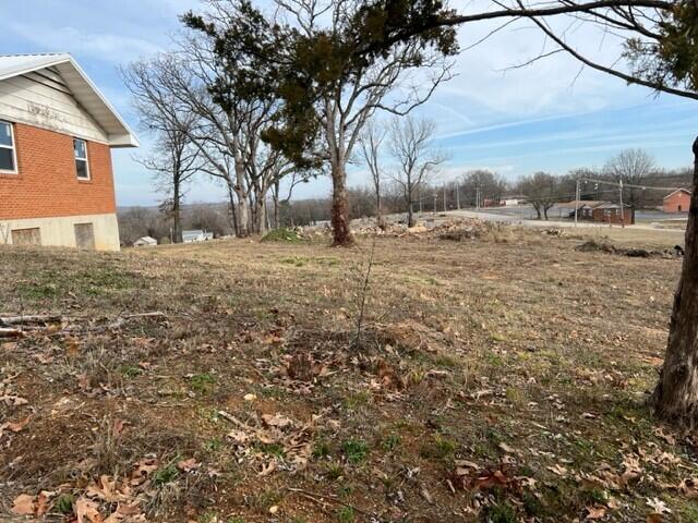 620 Johnson St, West Plains, MO 65775 - photo 3