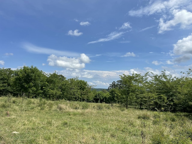 11138 State Highway O, Ava, MO 65608 - photo 32