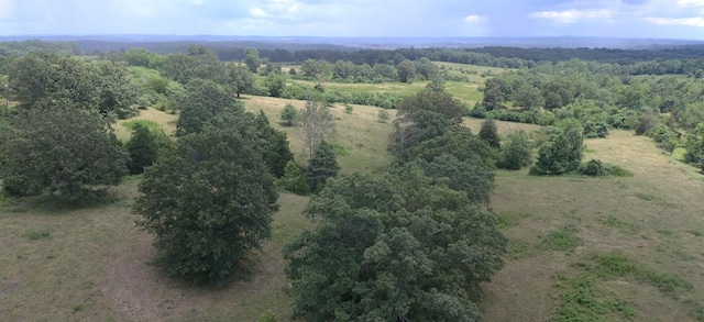 11138 State Highway O, Ava, MO 65608 - photo 3