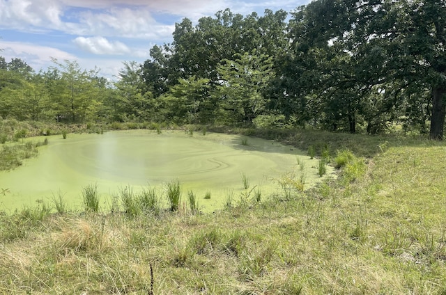 11138 State Highway O, Ava, MO 65608 - photo 39