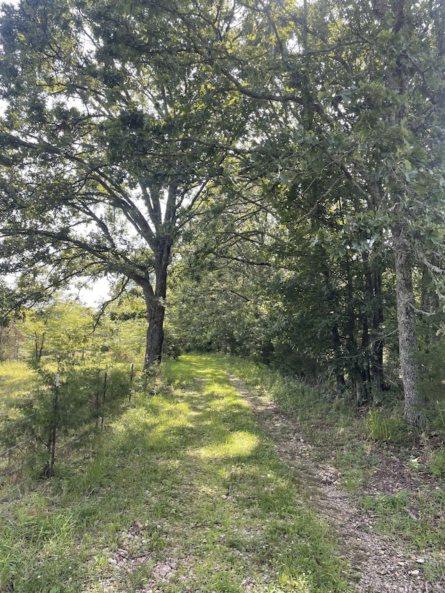 11138 State Highway O, Ava, MO 65608 - photo 40