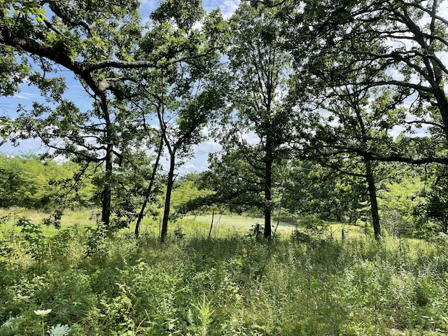 11138 State Highway O, Ava, MO 65608 - photo 25