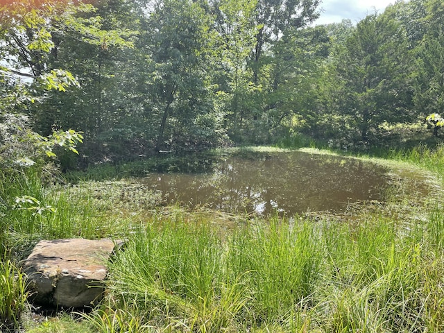 11138 State Highway O, Ava, MO 65608 - photo 28