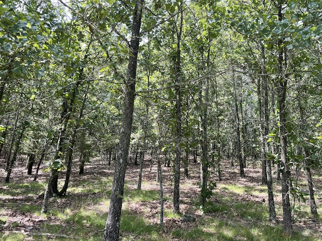11138 State Highway O, Ava, MO 65608 - photo 26