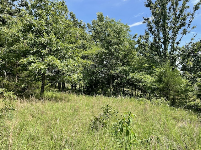 11138 State Highway O, Ava, MO 65608 - photo 29