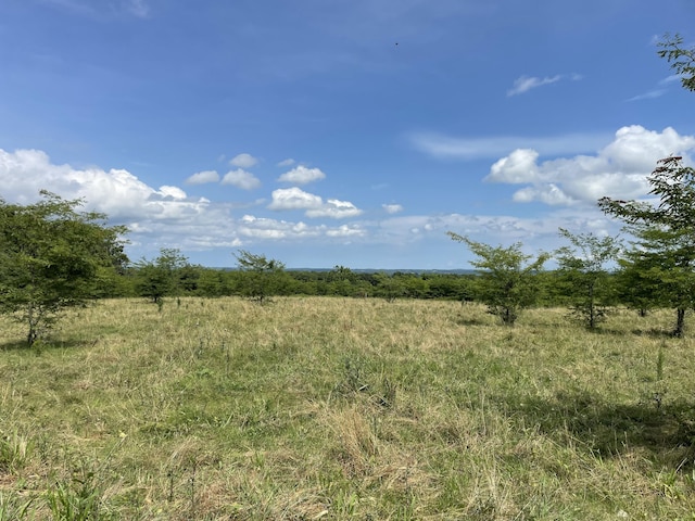 11138 State Highway O, Ava, MO 65608 - photo 37